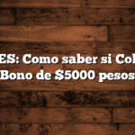 ANSES:  Como saber si Cobro el Bono de $5000 pesos