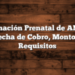 Asignación Prenatal de ANSES Fecha de Cobro, Montos, Requisitos