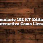 Formulario 102 RT  Editable Interactivo  Como Llenar