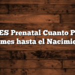 ANSES Prenatal Cuanto Pagan por mes hasta el Nacimiento