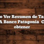 Como Ver Resumen de Tarjeta VISA Banco Patagonia   Como obtener