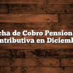 Fecha de Cobro Pension no Contributiva en Diciembre